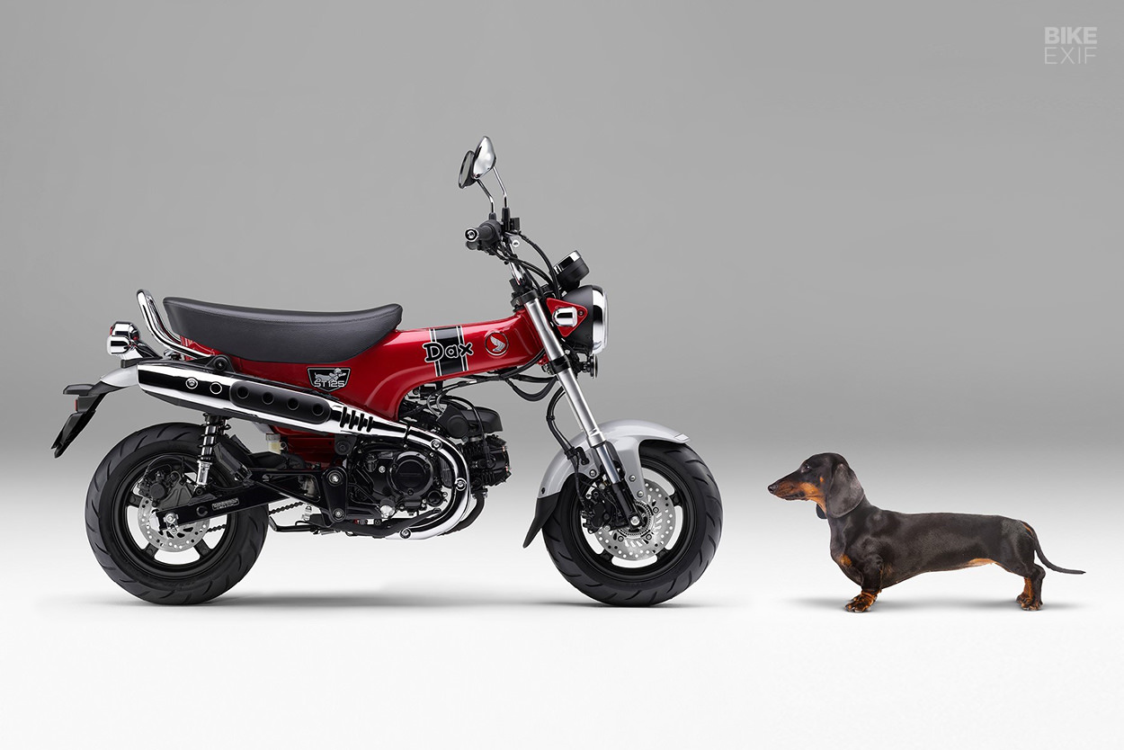 2022 Honda ST125 Dax mini bike